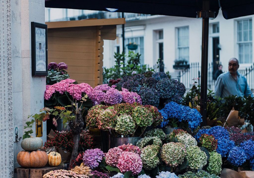 Photo of Outdoor in Belgravia