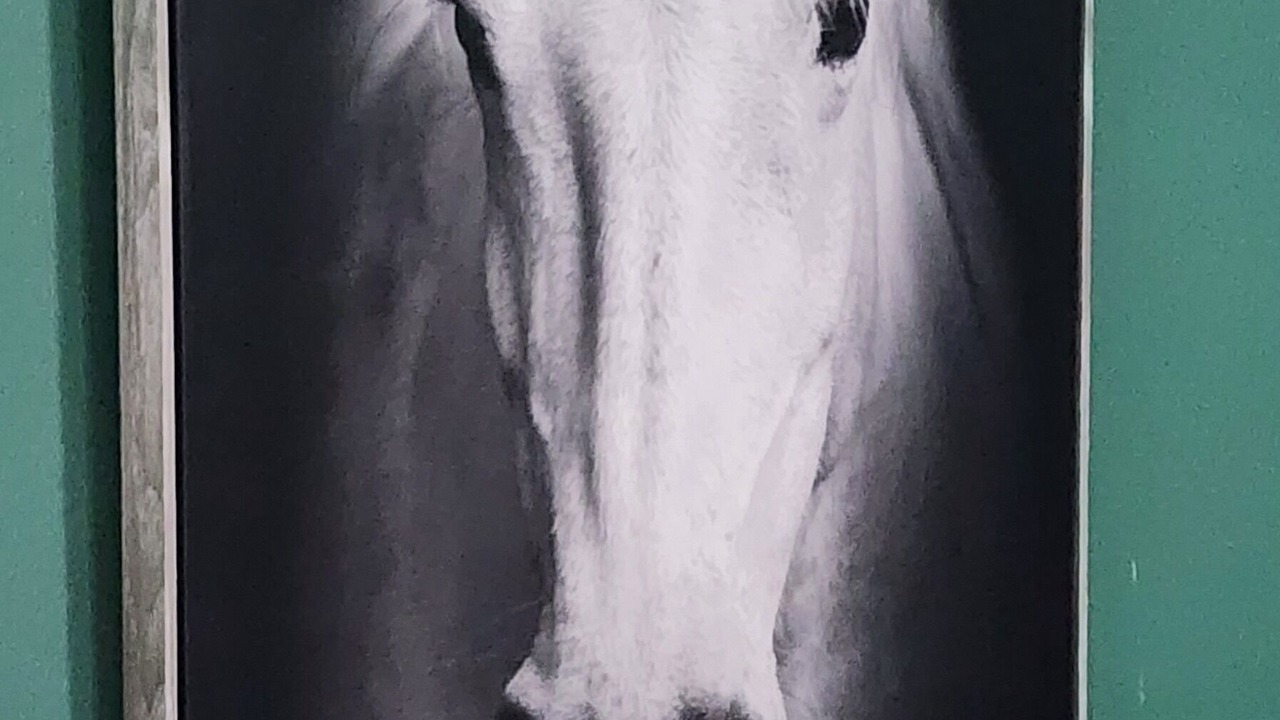 Photo of Others in Dry Ridge