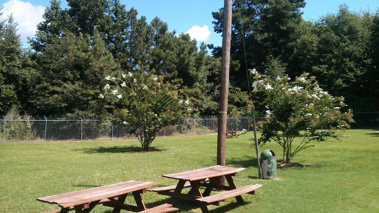 Photo of Outdoor in Pageland