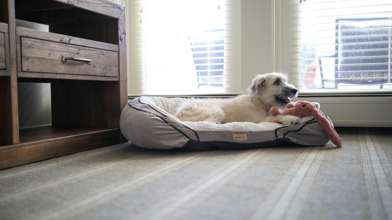Photo of Bedroom in Historic Hill