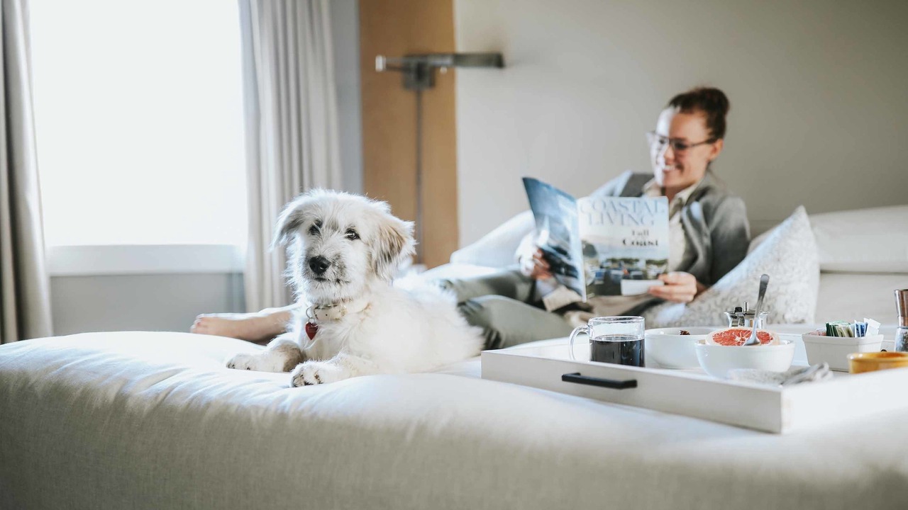 Photo of Others in Historic Hill