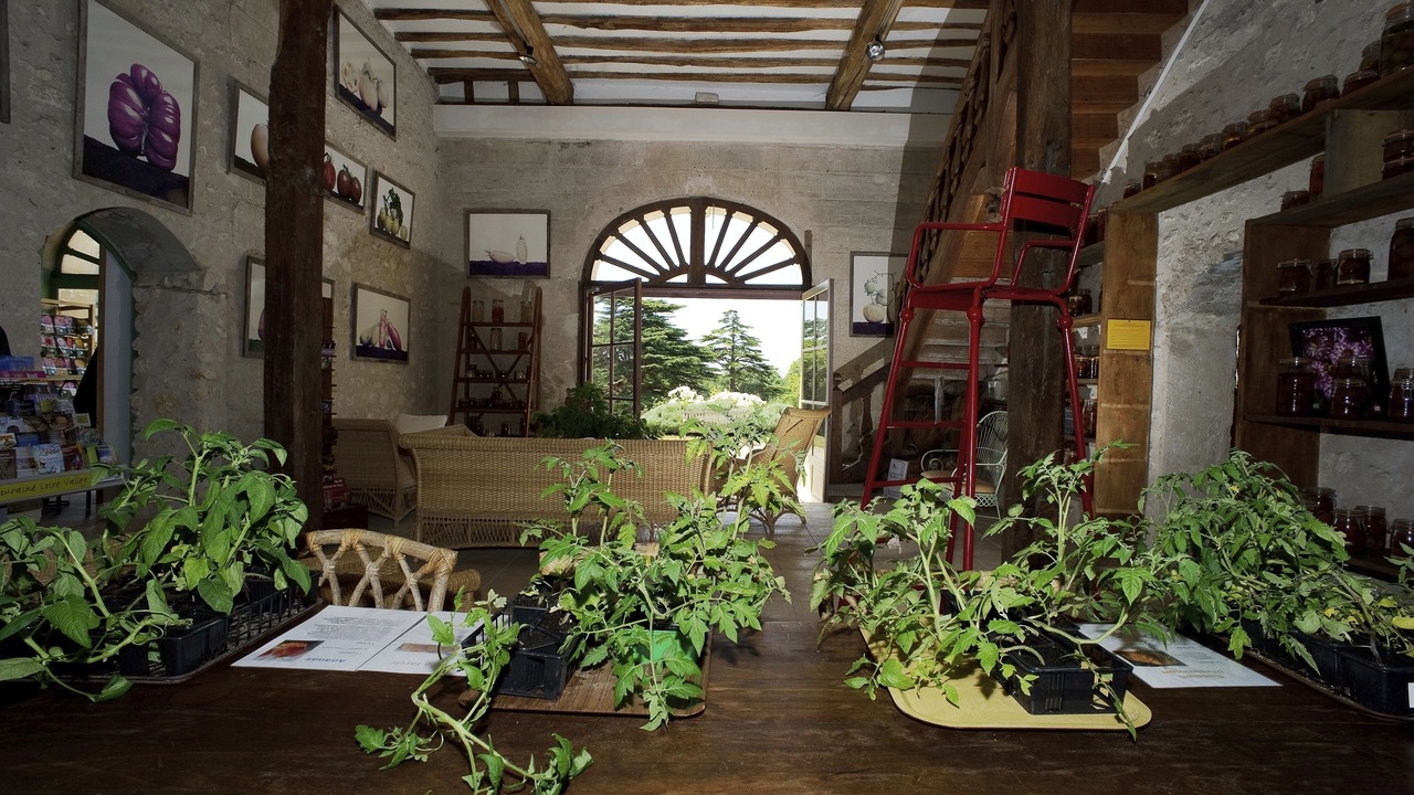 Photo of Others in Montlouis-sur-Loire