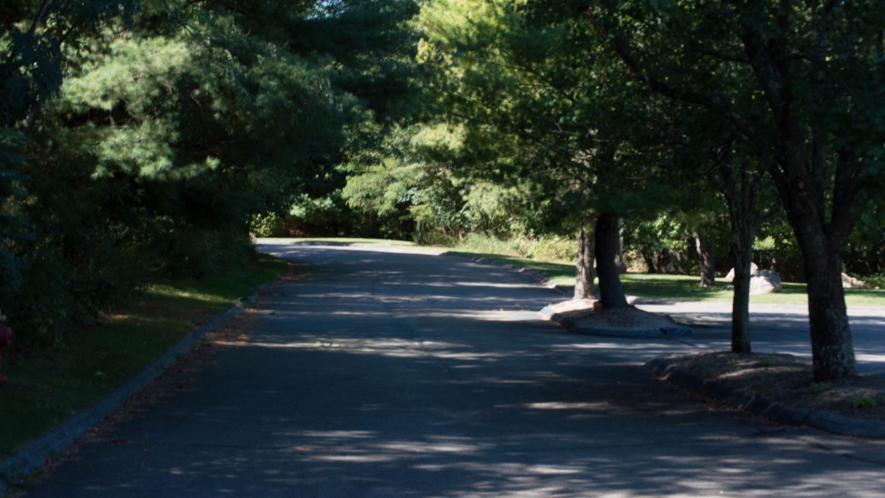 Photo of Others in Niantic