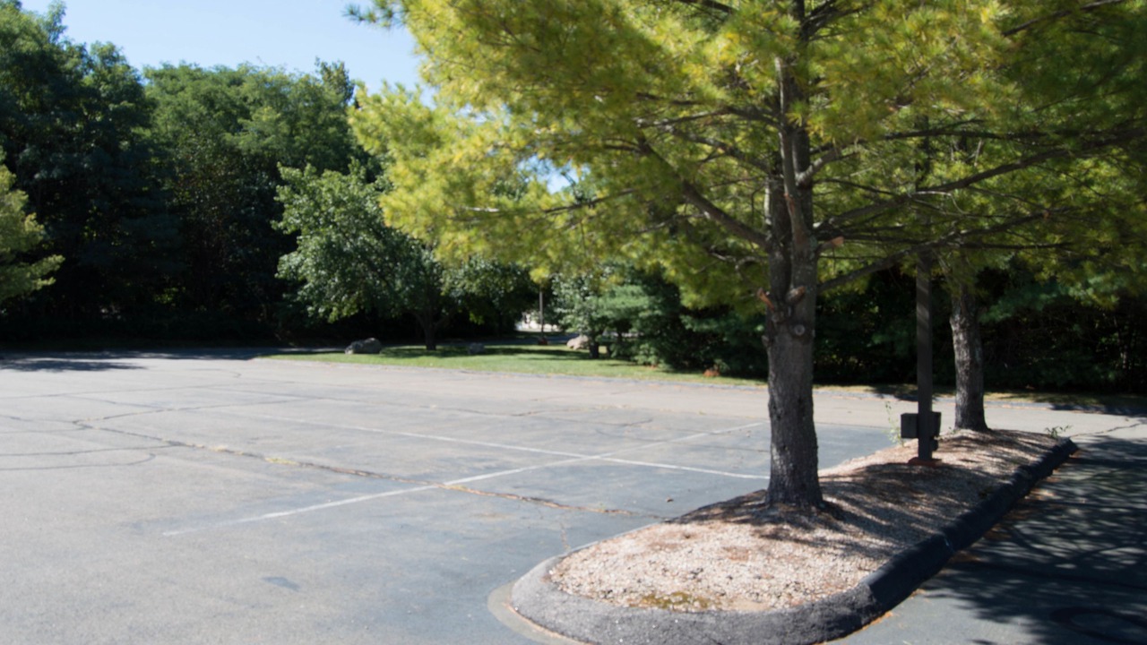 Photo of Outdoor in Niantic