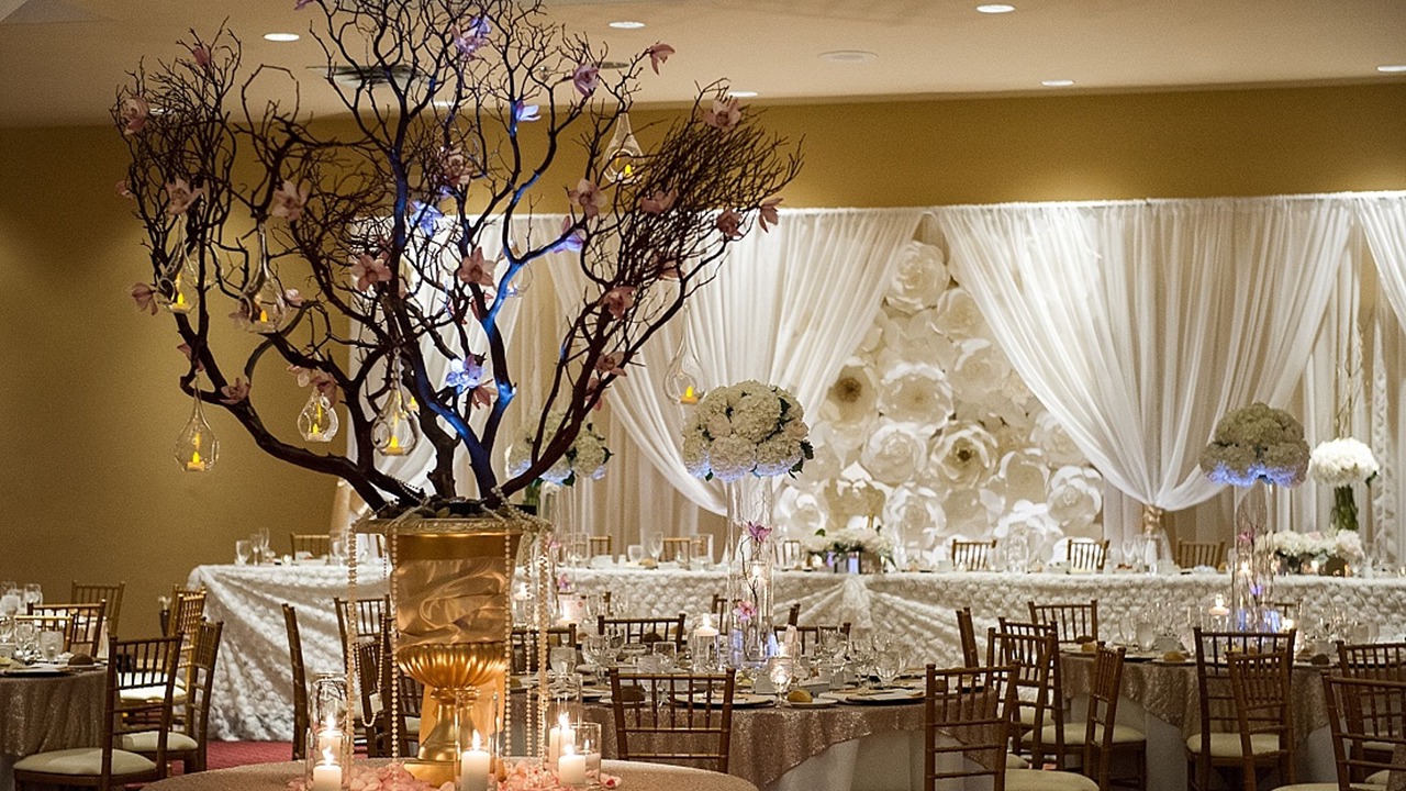 Photo of Others in Fredericton