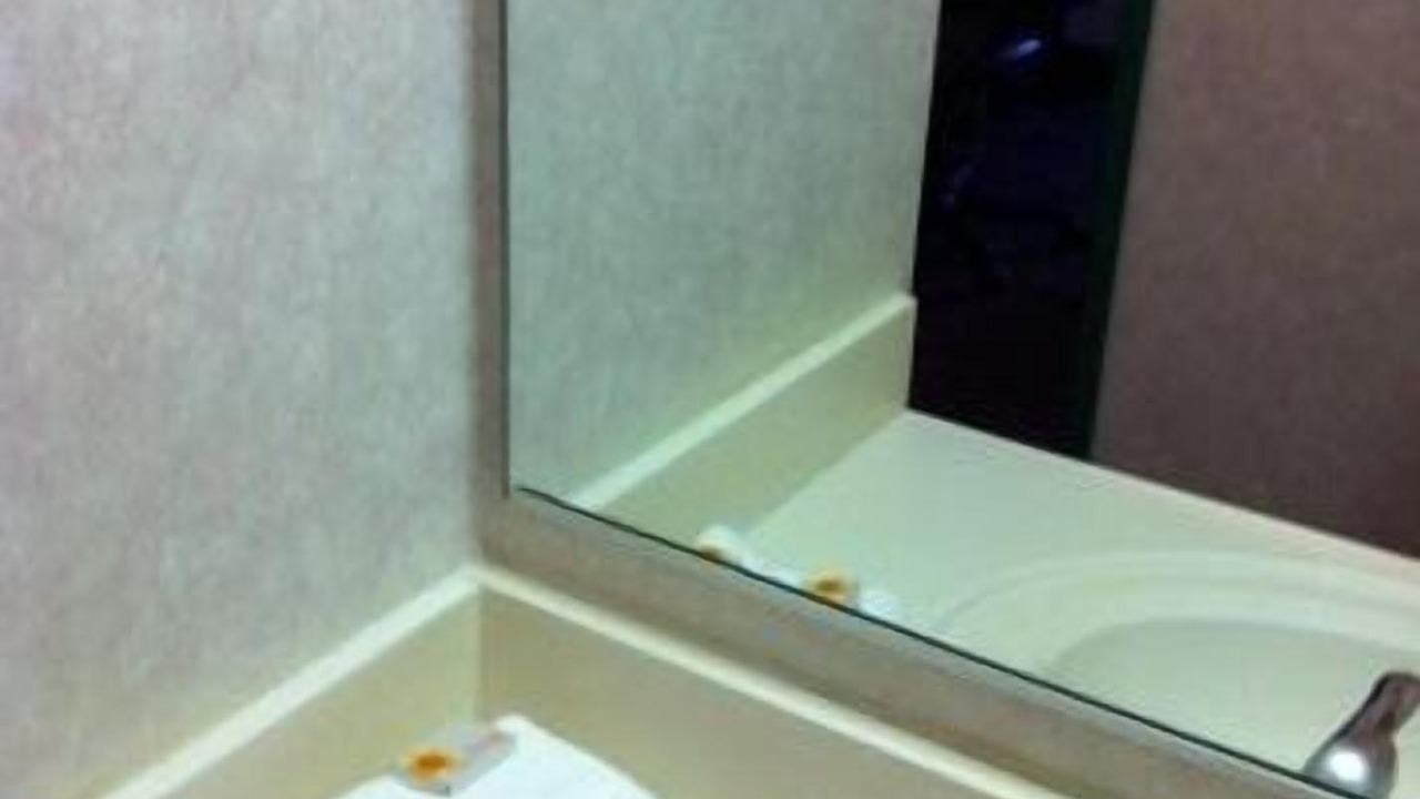 Photo of Others in Schiller Park