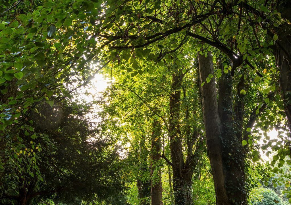 Photo of Outdoor in Market Bosworth