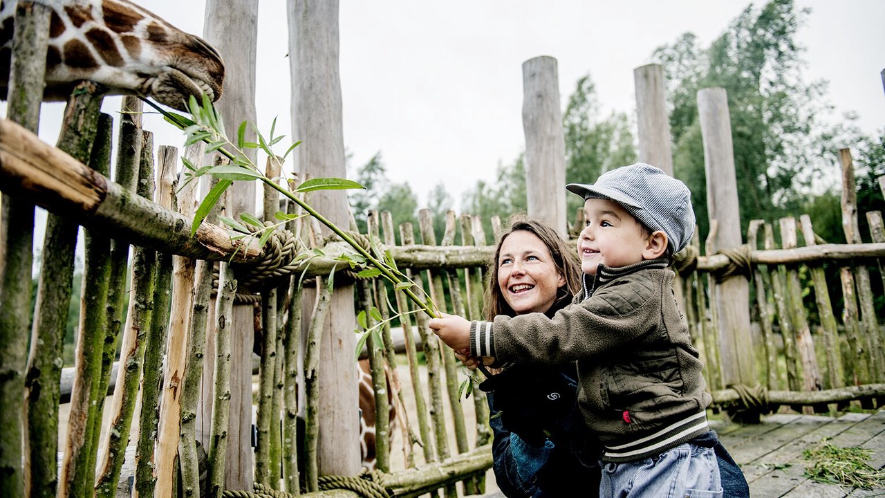 Photo of Others in Faaborg