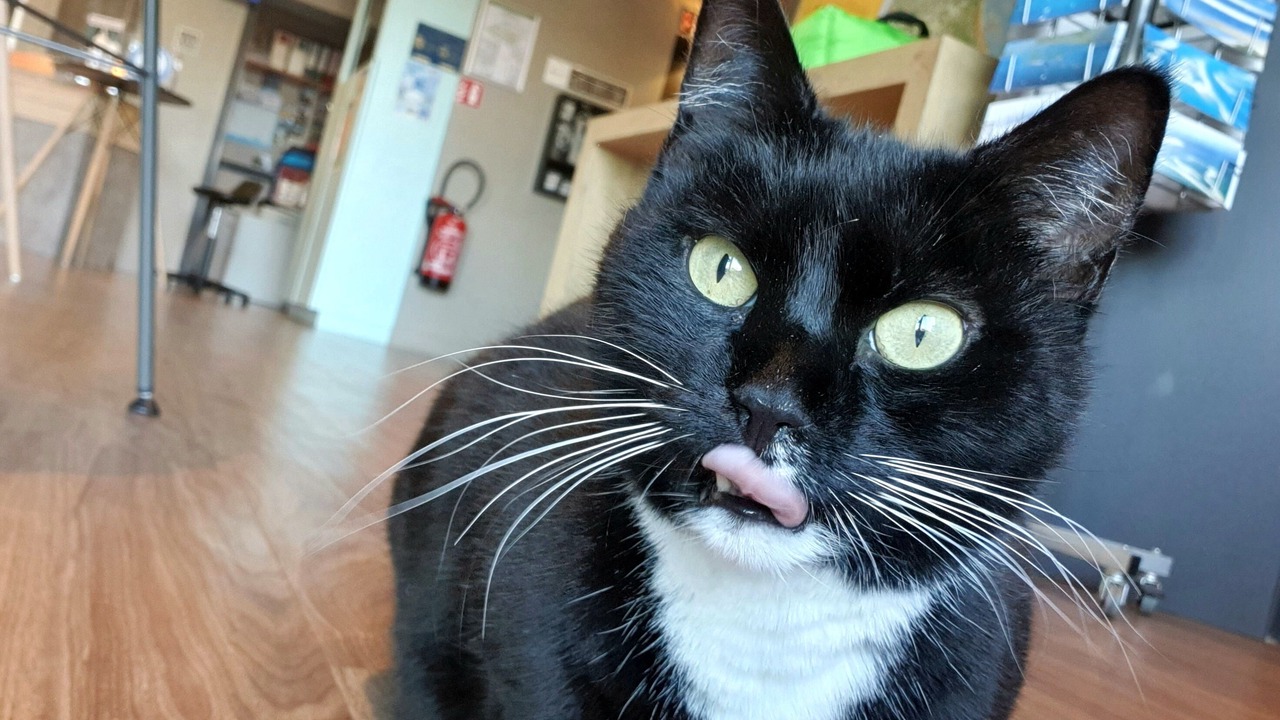 Photo of Others in La Teste-de-Buch