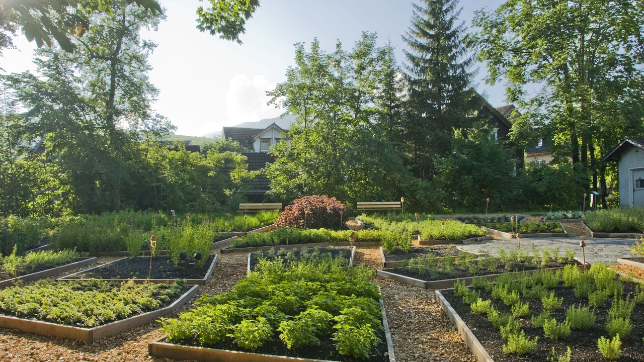 Photo of Outdoor in Weissbad