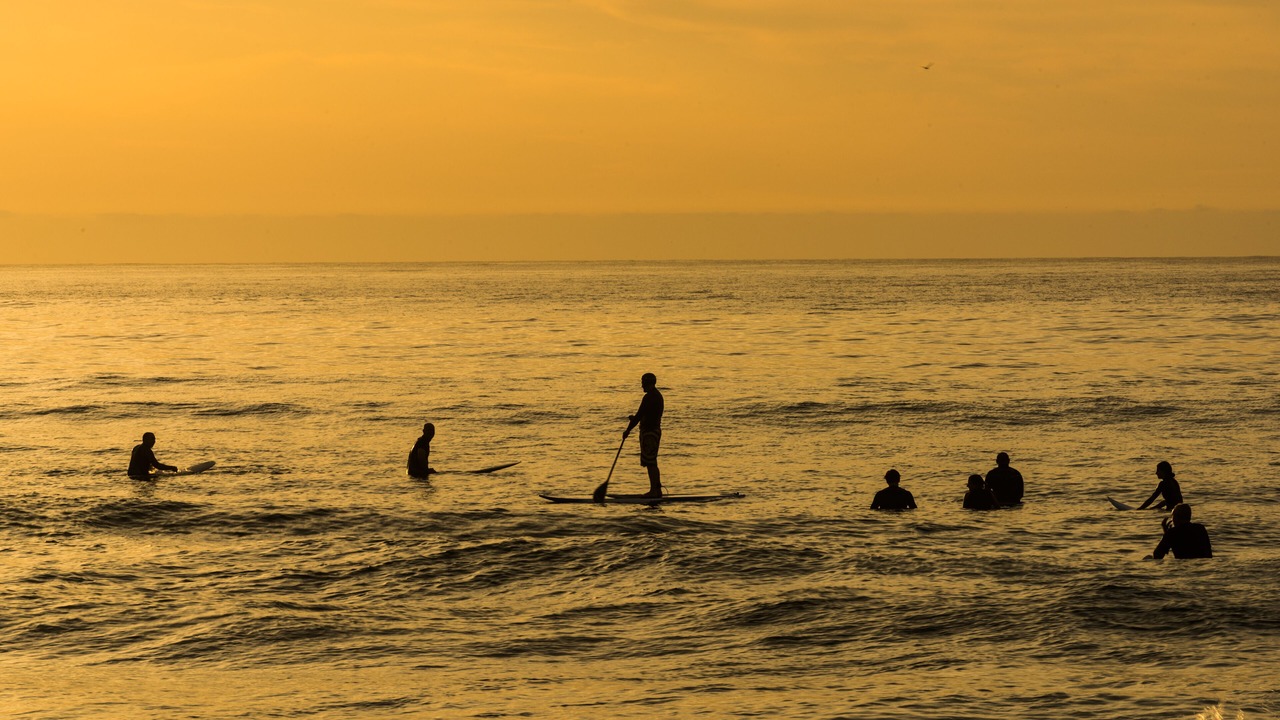 Photo of Others in Cronulla
