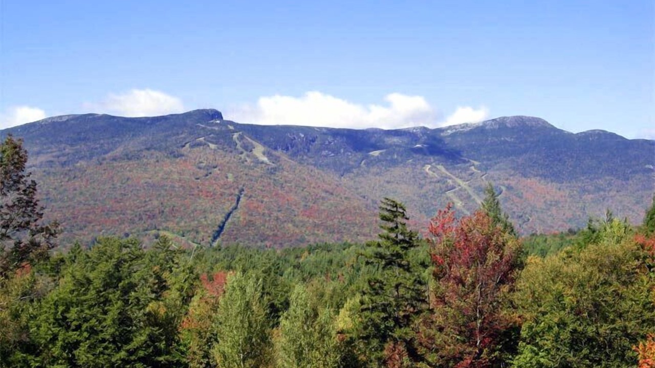 Photo of Others in Stowe Area