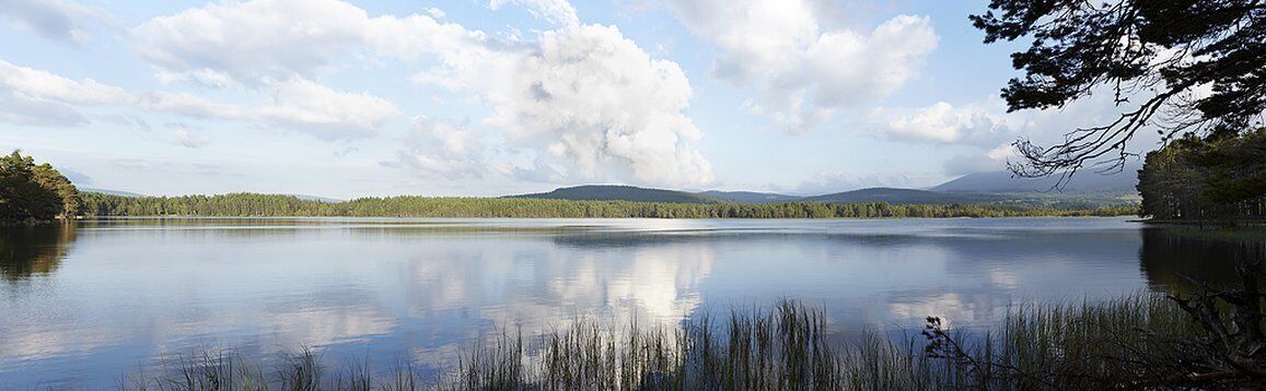 Photo of Others in Boat of Garten