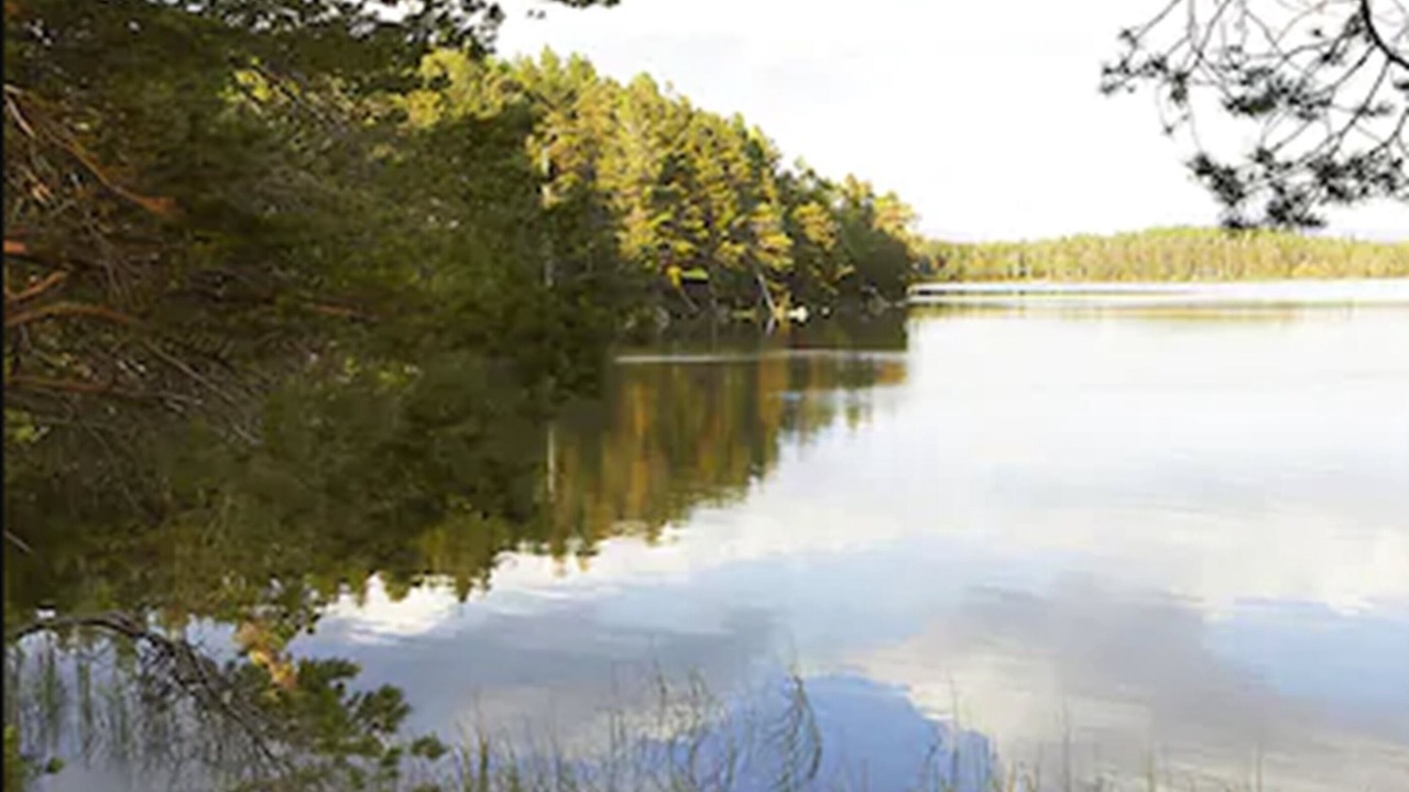 Photo of Outdoor in Boat of Garten