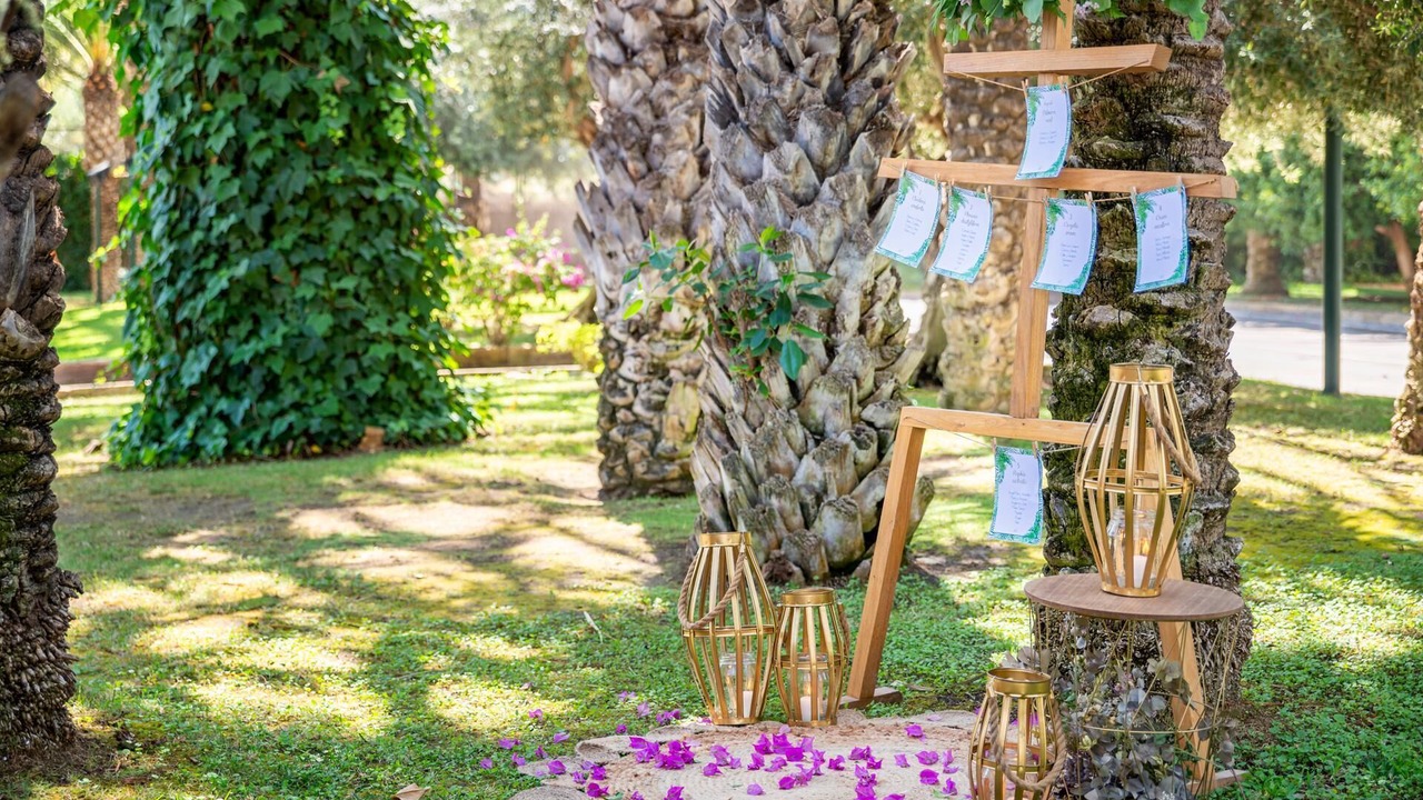 Photo of Outdoor in Elche