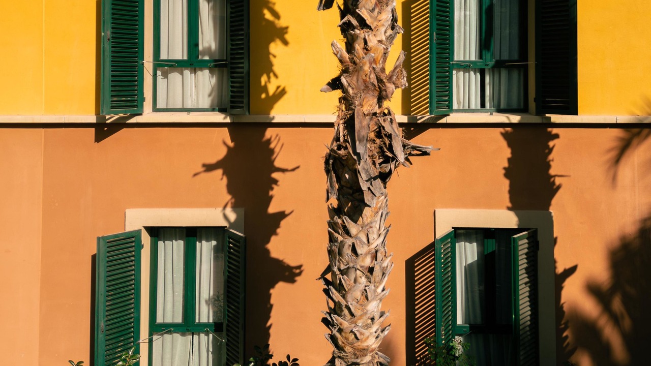 Photo of Outdoor in Elche