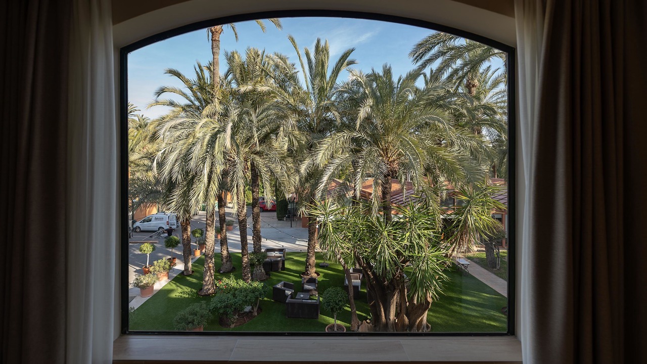 Photo of Others in Elche
