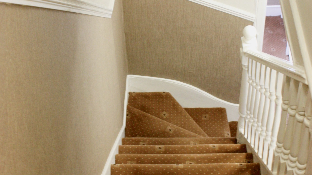 Photo of Others in Pimlico