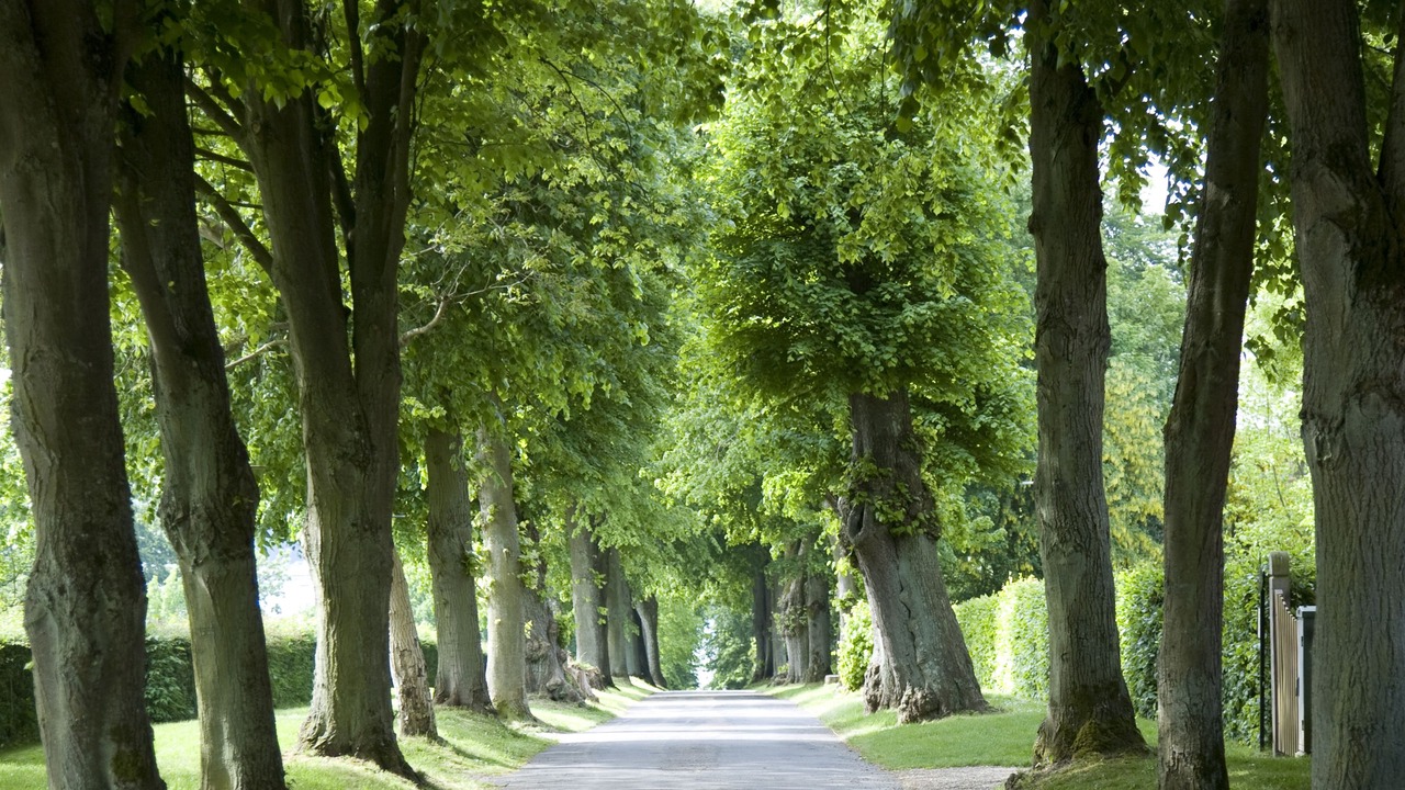 Photo of Outdoor in Middelfart