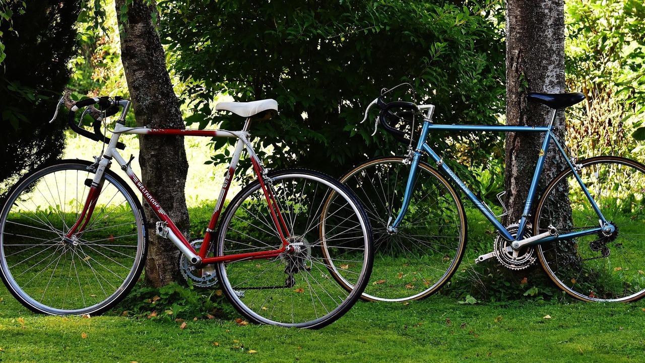 Photo of Outdoor in La Chapelle-en-Serval