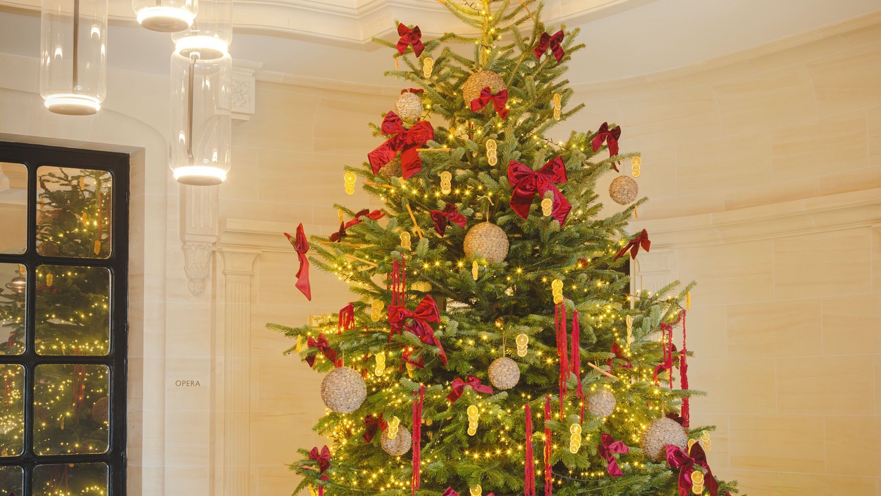 Photo of Others in La Chapelle-en-Serval