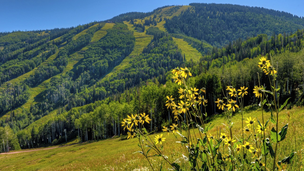 Photo of Outdoor in Steamboat Springs