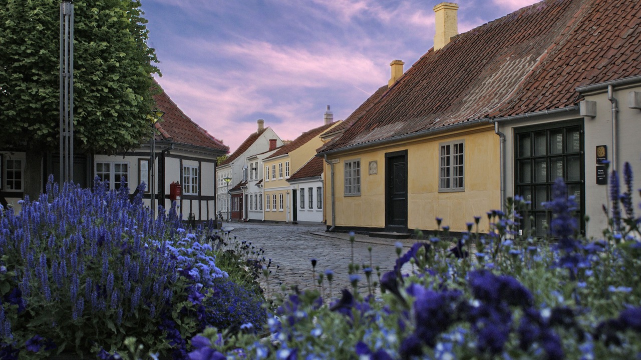 Photo of Others in Odense