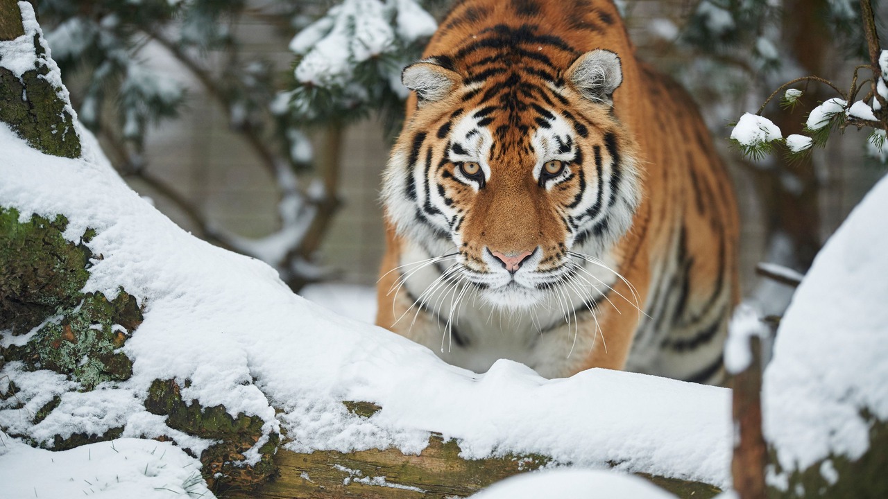 Photo of Others in Odense