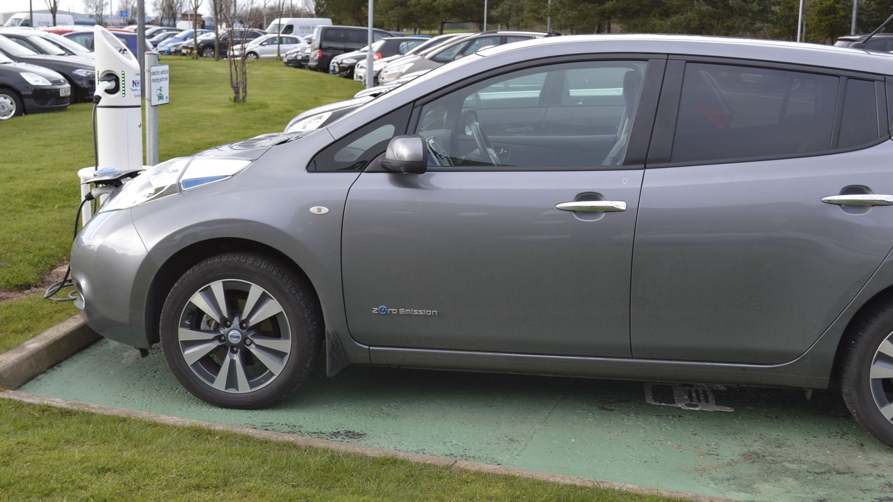 Photo of Others in Dalmuir