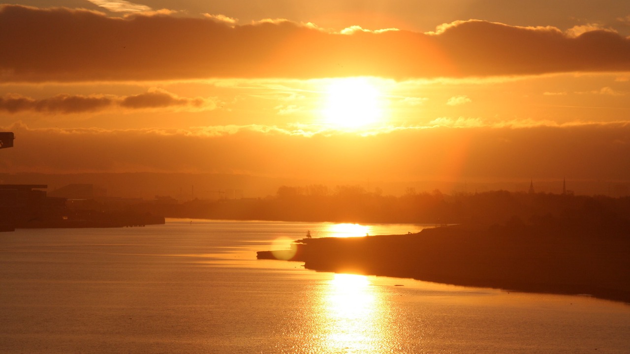 Photo of Others in Dalmuir