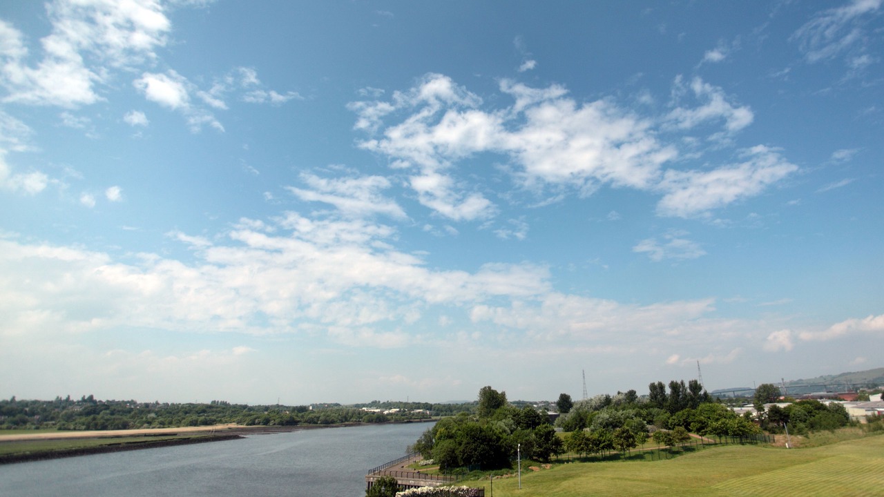 Photo of Others in Dalmuir