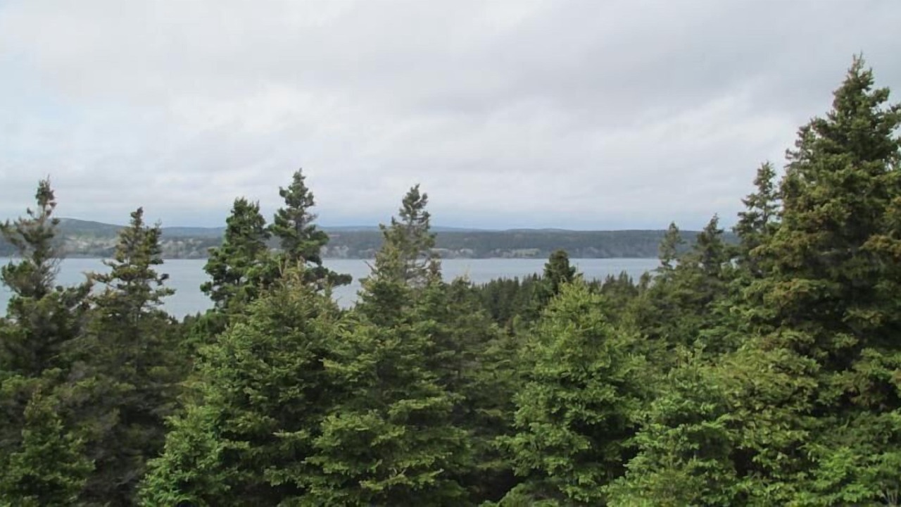 Photo of Others in Holyrood