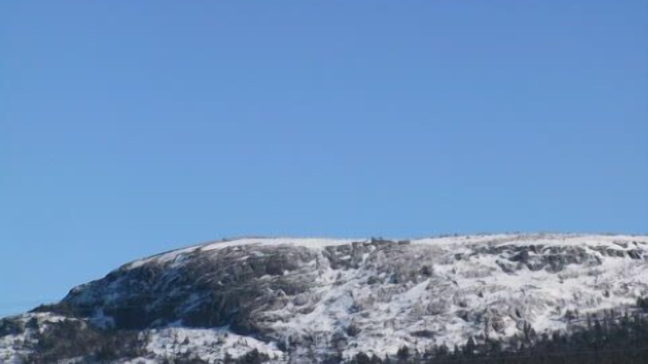 Photo of Others in Holyrood