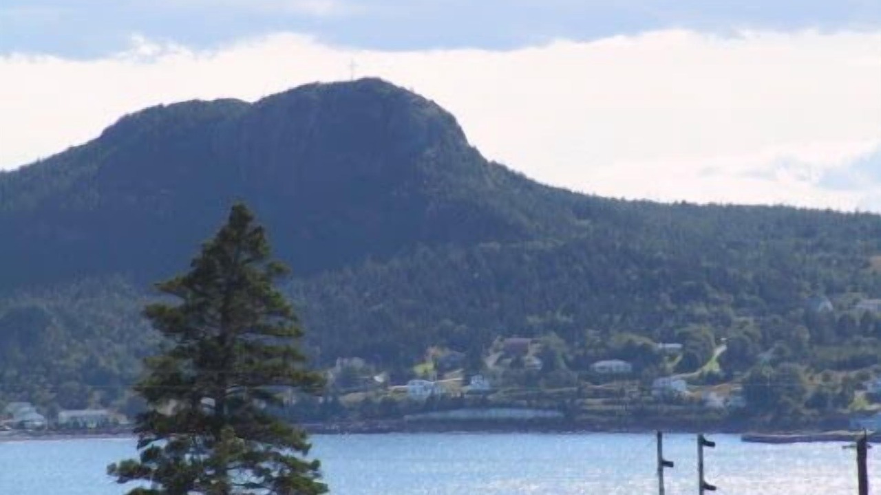 Photo of Others in Holyrood