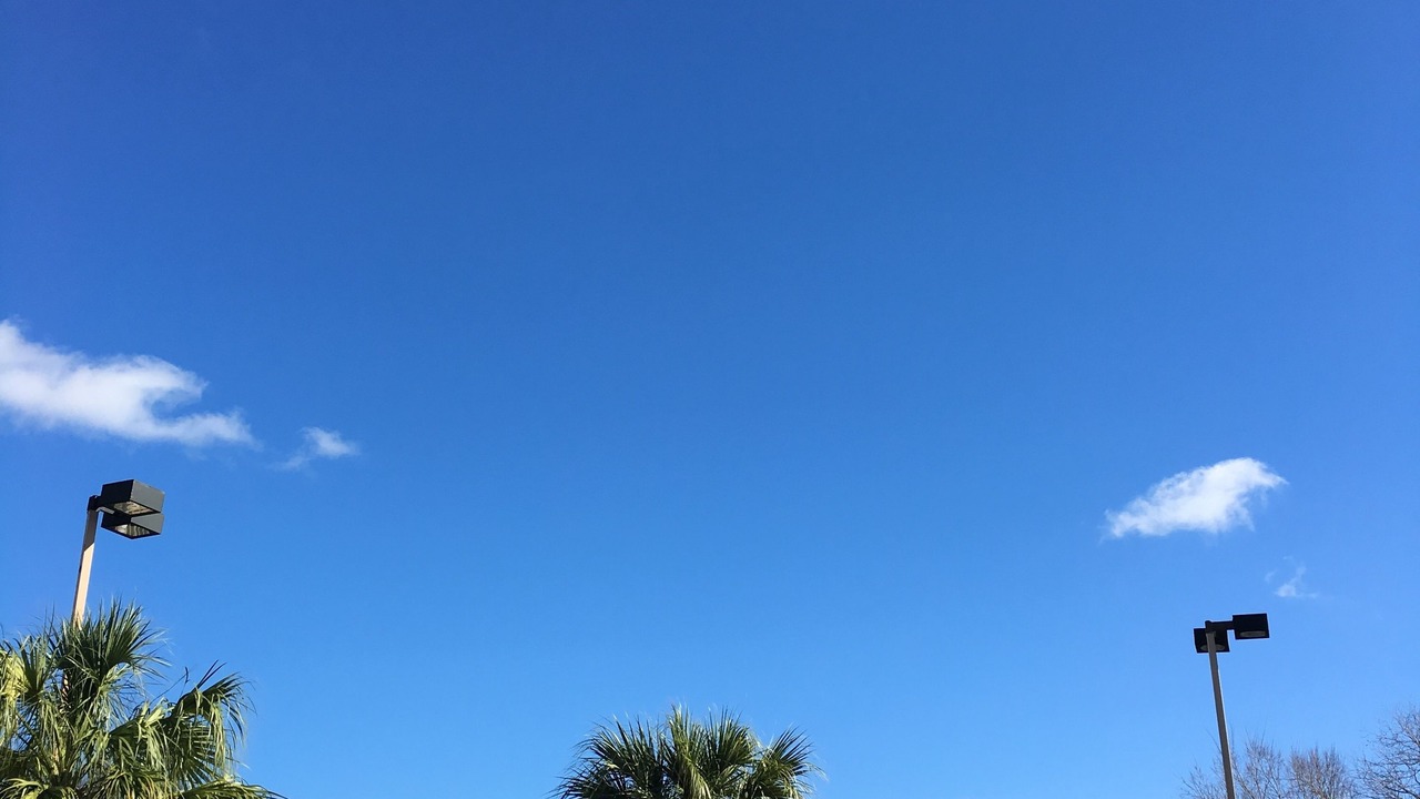 Photo of Outdoor in Nacogdoches