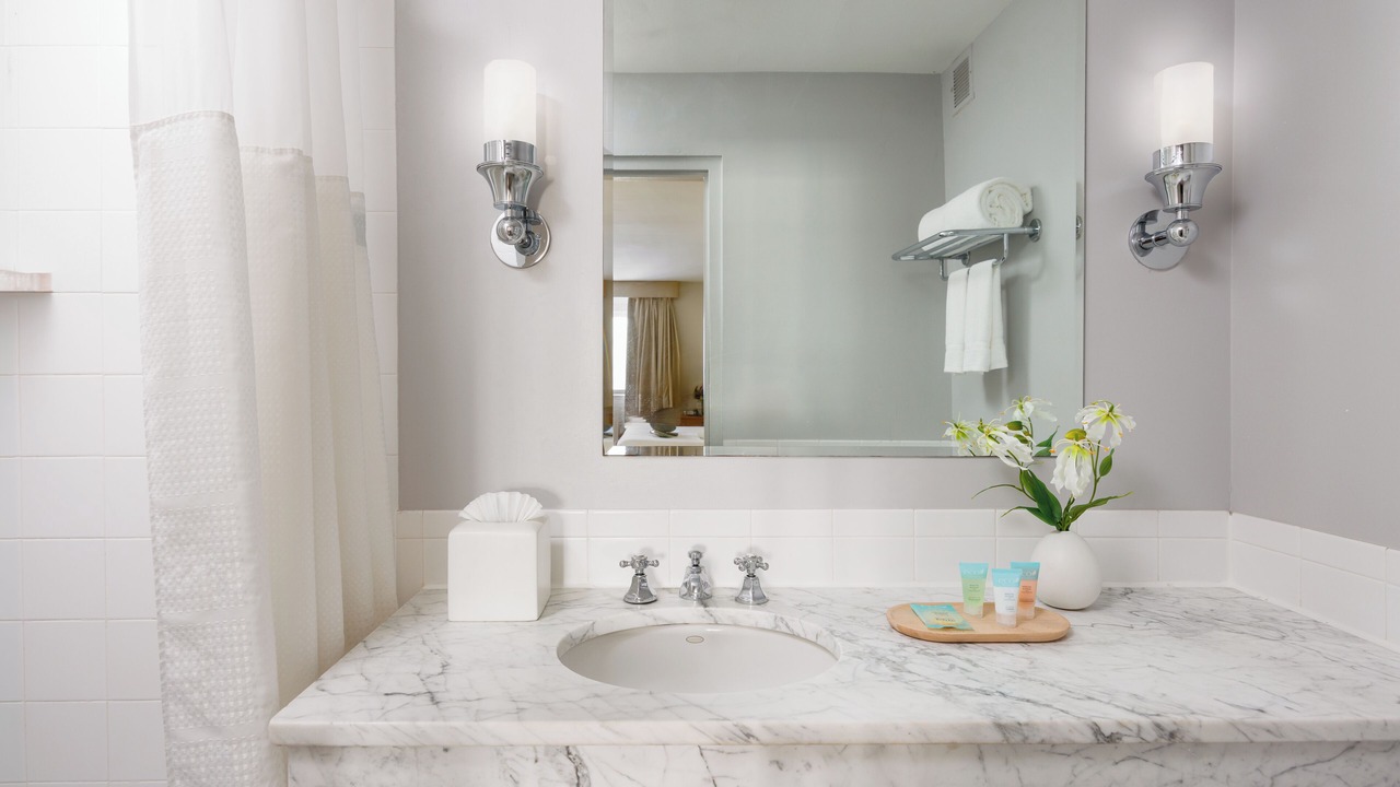 Photo of Bathroom in Great Neck Plaza