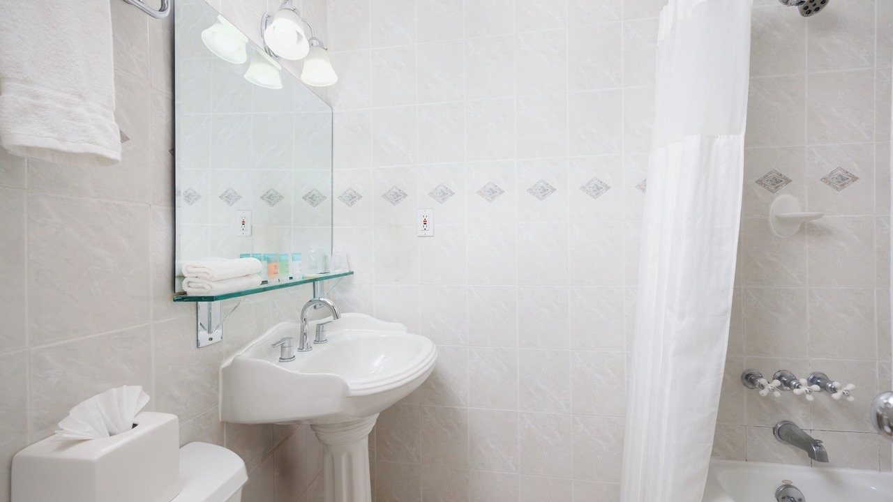 Photo of Bathroom in Great Neck Plaza