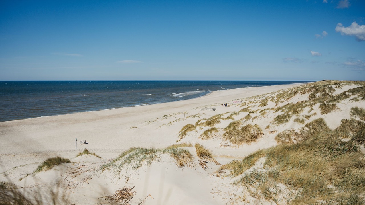 Photo of Others in Nymindegab