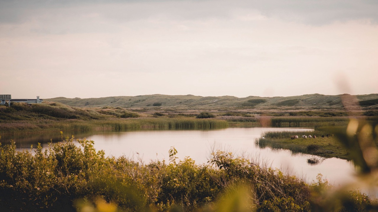 Photo of Others in Nymindegab