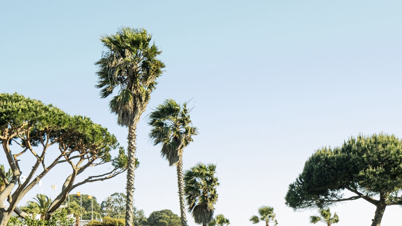 Photo of Outdoor in S'Agaro