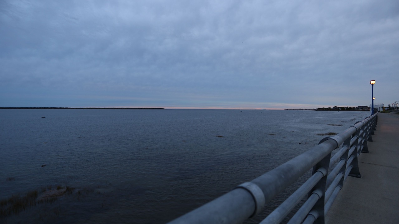 Photo of Others in Rimouski
