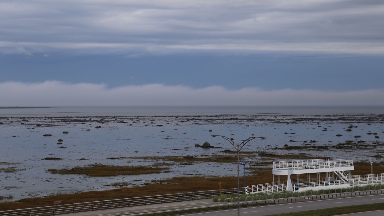Photo of Others in Rimouski
