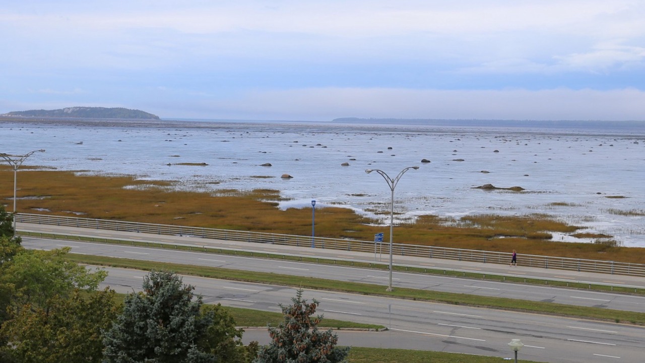 Photo of Others in Rimouski