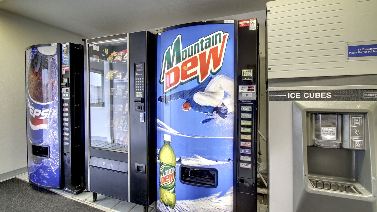 Photo of Others in Holly