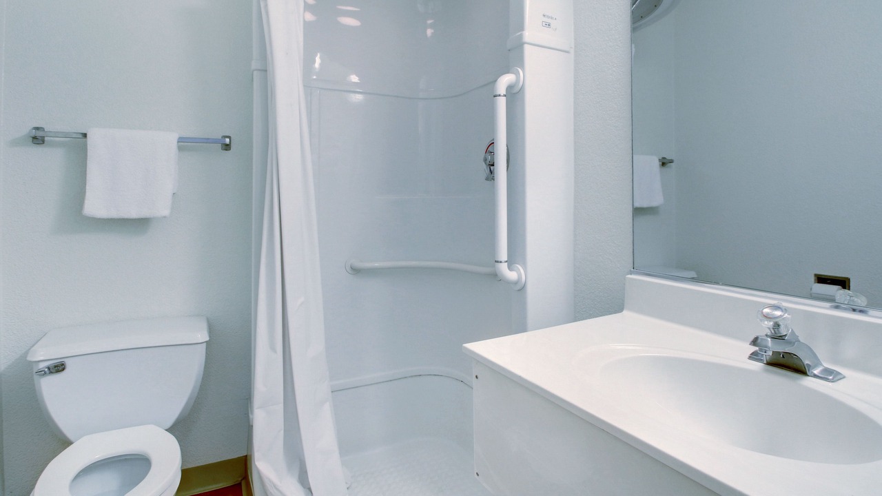 Photo of Others in Holly