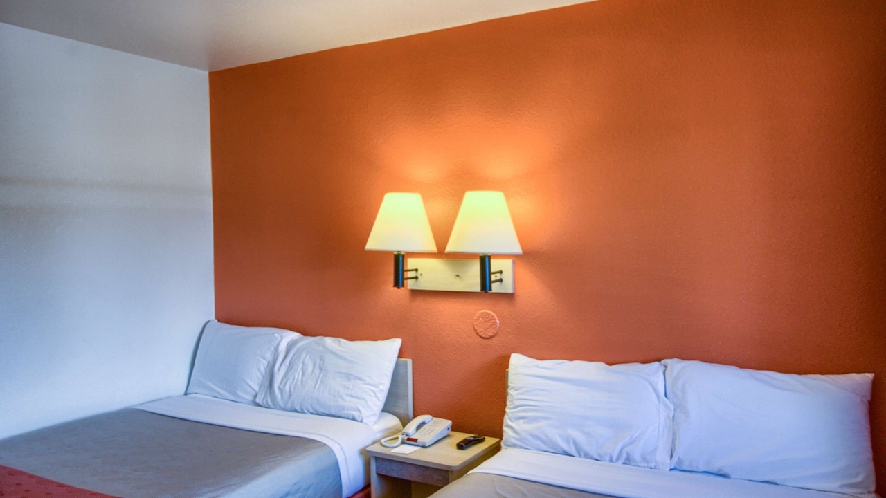 Photo of Others in Holly