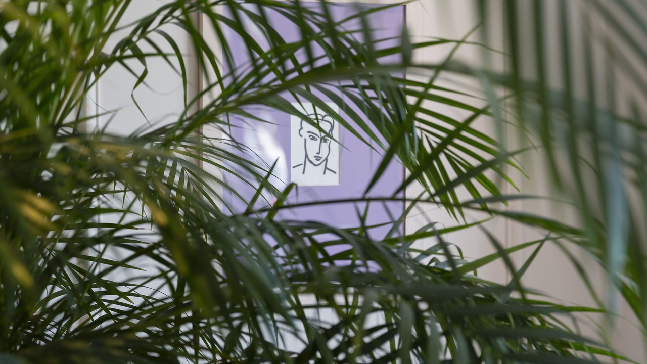 Photo of Others in Old Town