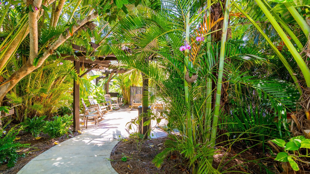 Photo of Outdoor in Palm River Estates