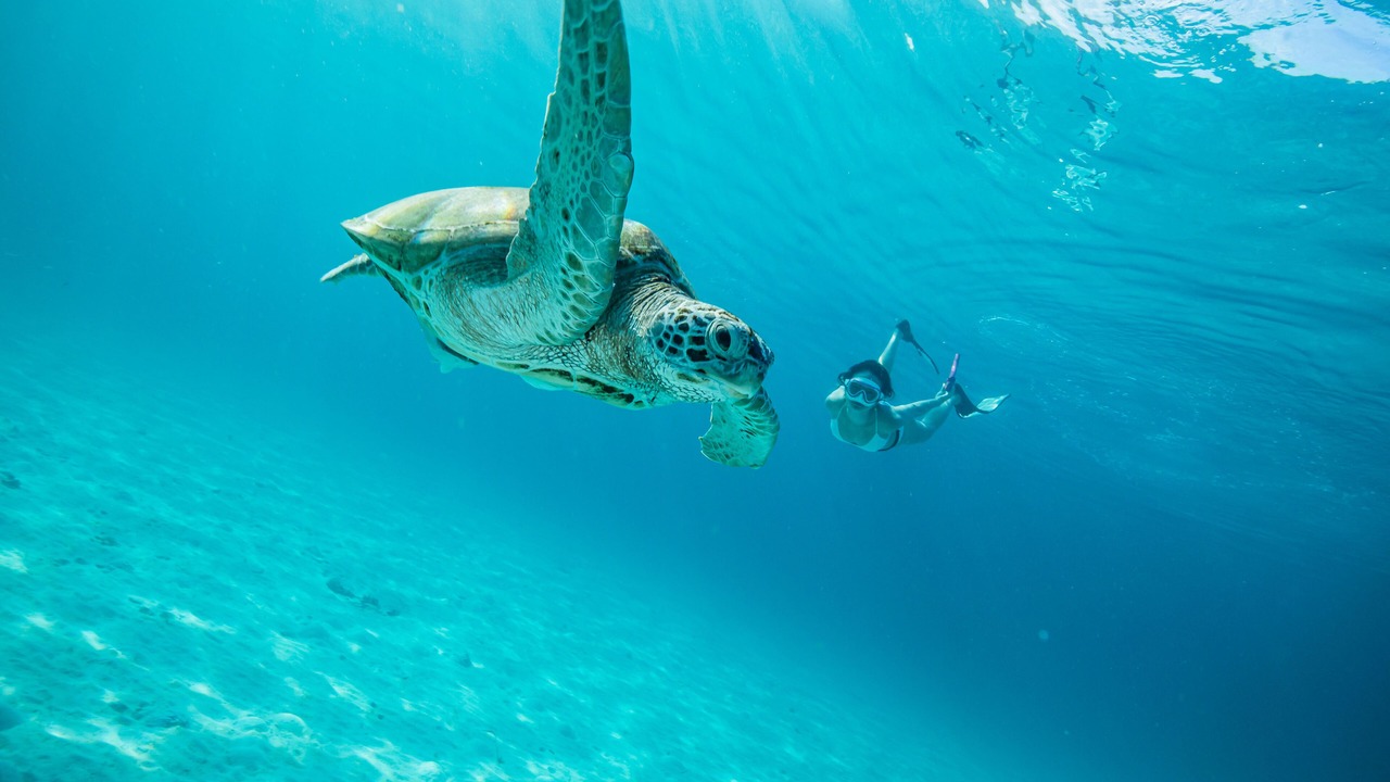 Photo of Others in Redang Island