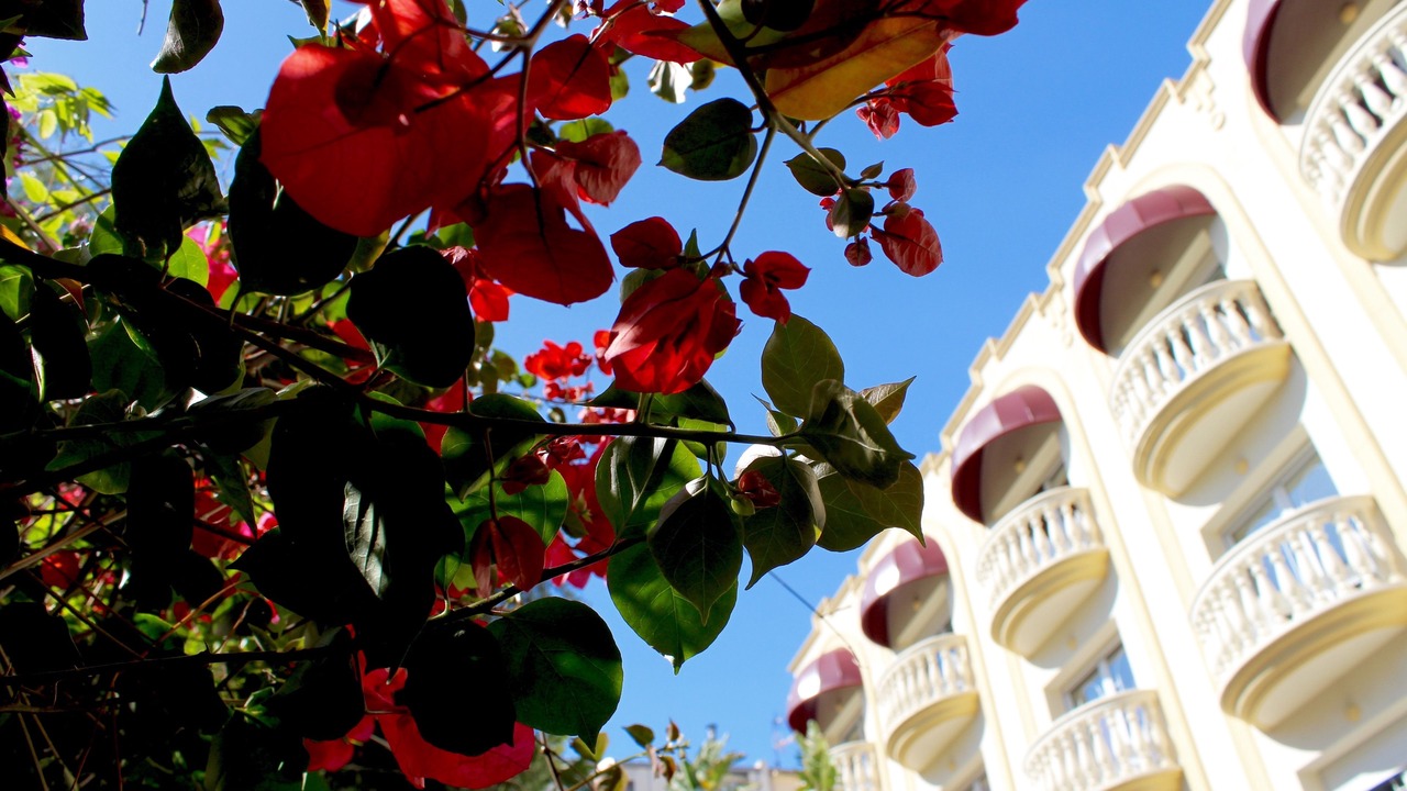Photo of Outdoor in Sitges Town Center